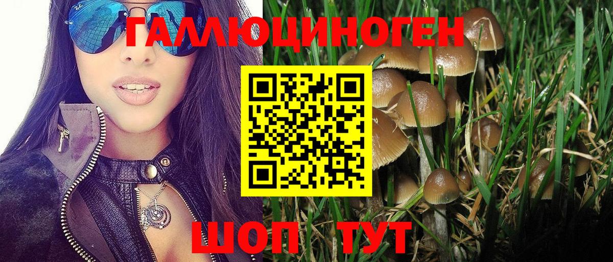 Галлюциногенные грибы мицелий  Вход с VPN  Назрань 